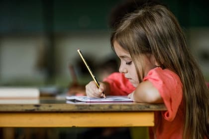 Las altas capacidades, dicen muchos expertos, van más allá de las áreas que los test de inteligencia tradicionales miden. Foto genérica