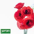 El regreso del rojo, el color que vuelve a encender los jardines