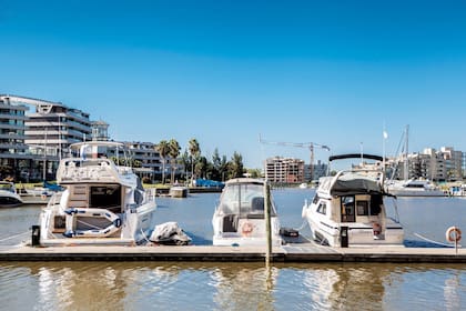 Las amarras del Yacht Club, donde se encuentra Pichón