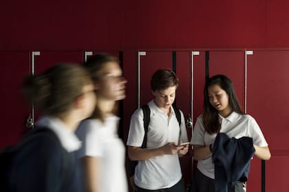 Las amistades se forman principalmente por similitud y circunstancias compartidas