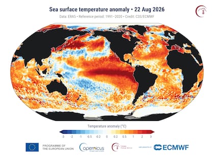 Las anomalías de la temperatura de la superficie del mar registradas el 22 de agosto de 2026 respecto del promedio del período 1991-2020. Los tonos rojos indican aguas más cálidas de lo habitual y los azules, más frías