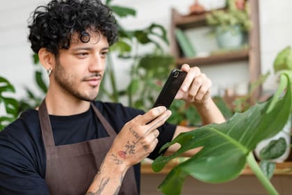 Las aplicaciones ayudan a observar el estado y necesidades de las plantas