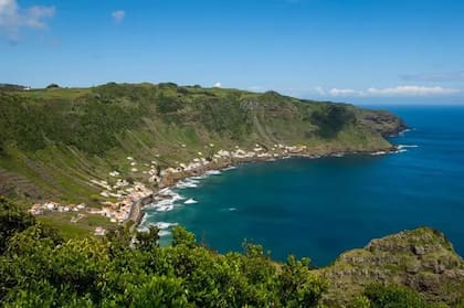 Las áreas protegidas pueden ser muy eficaces para preservar la biodiversidad marina