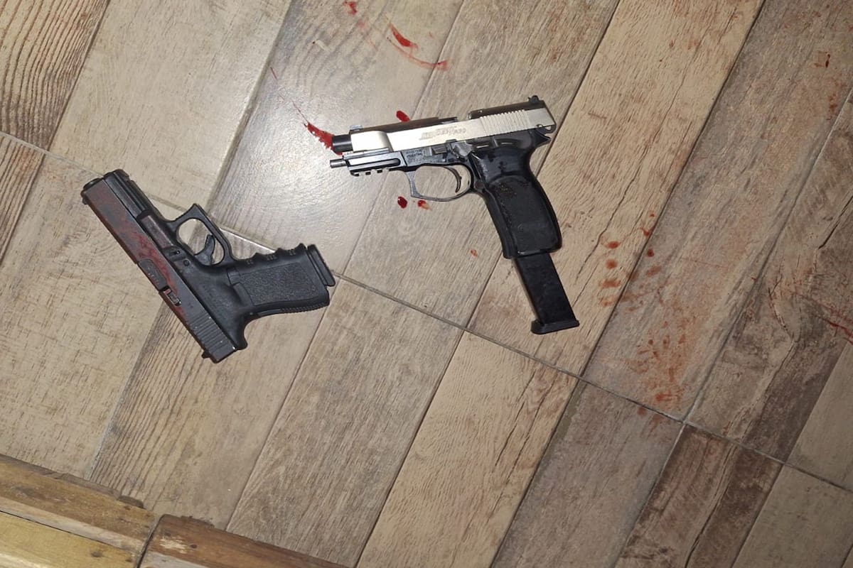 Las armas manchadas con sangre secuestradas por la policía bonaerense