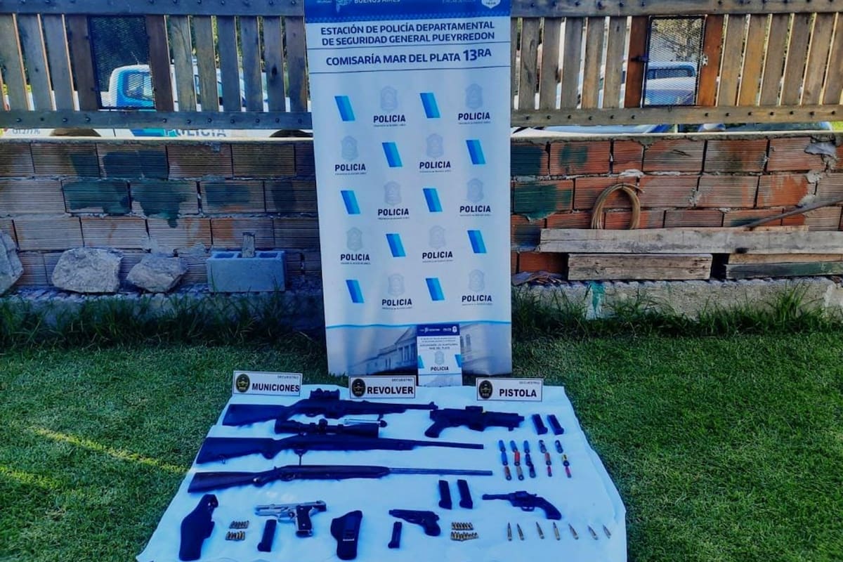 Las armas secuestradas por la policía bonaerense