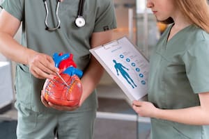 Las arterias jóvenes son elásticas; a medida que envejecen se van haciendo más rígidas