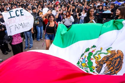 Las audiencias masivas en Miami que aceleran las deportaciones sin dar tiempo a los migrantes para defender sus casos.