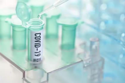 Las autopsias brindaron valiosa información