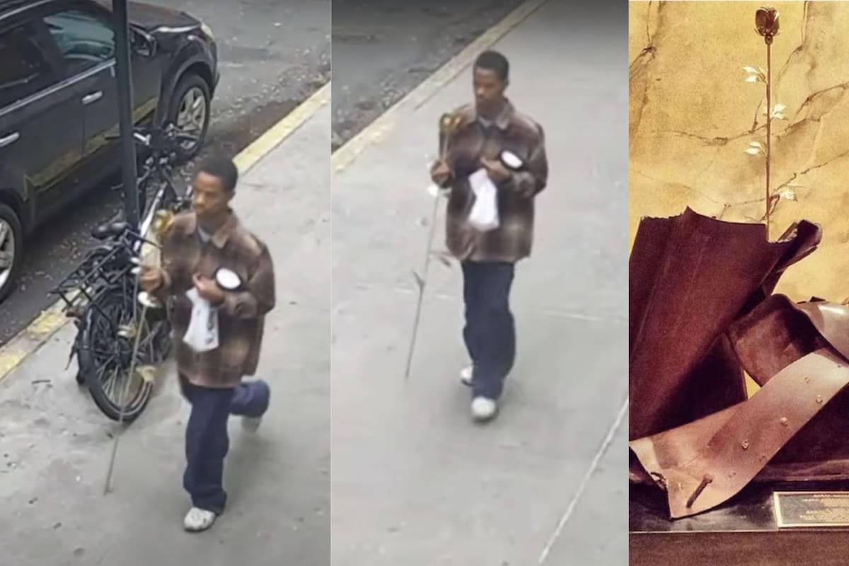 Las autoridades acusan a Deikel Alcantara, un joven de 21 años, de haber cometido el robo (Foto YouTube)