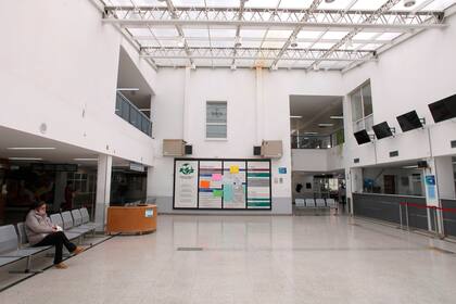 Las autoridades apelaron a la responsabilidad individual para reducir la propagación del nuevo coronavirus