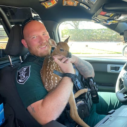 Las autoridades compartieron la ruta que siguió el venado hallado en Florida