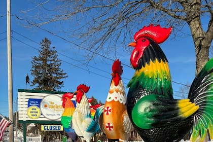 Las autoridades de la ciudad consideraron que los gallos representaban publicidad no autorizada para el restaurante
