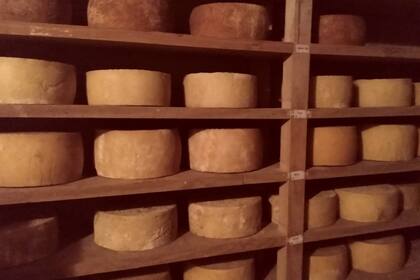 Las autoridades decomisaron productos contaminados para frenar la propagación de la bacteria (imagen ilustrativa)