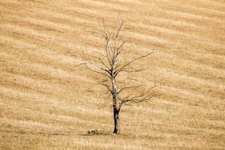 Dos tercios de Inglaterra están bajo sequía y las lluvias cayeron un 10%