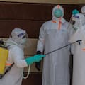 Francia confirmó el primer caso de ébola en el país: un médico llegó del Congo con el virus