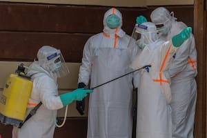 Francia confirmó el primer caso de ébola en el país: un médico llegó del Congo con el virus