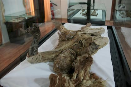 Las autoridades iraníes anunciaron la restauración de tres de las "momias de sal"