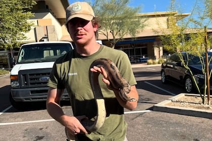 Las autoridades llegaron a la conclusión de que según su apariencia, la serpiente podría ser la mascota de alguien.