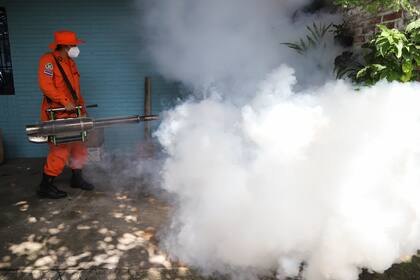 Las autoridades locales van a fumigar trece comunidades para evitar que este virus se siga expandiendo