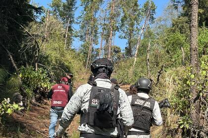 Las autoridades mexicanas aseveran que hay presencia de exmilitares colombianos en su territorio desde hace más de 15 años