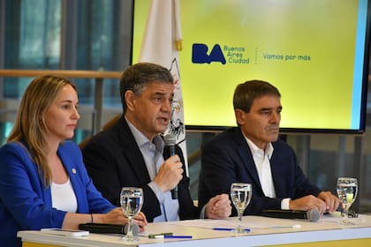 Las autoridades porteñas brindaron esta mañana una conferencia de prensa sobre la epidemia de dengue en la ciudad