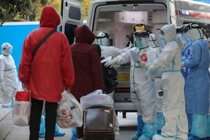Las autoridades sanitarias de medio mundo trabajan contrarreloj para contener el virus