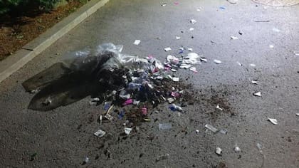 Las autoridades surcoreanas dijeron que las bolsas "contenían desechos sucios y basura" y están siendo analizadas por las autoridades pertinentes