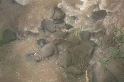 Las autoridades tailandesas señalaron que el incidente ocurrió luego de que un elefante bebé se cayera desde la cascada.