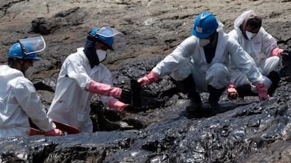 Las autoridades temen que especies protegidas hayan sufrido daño significativo