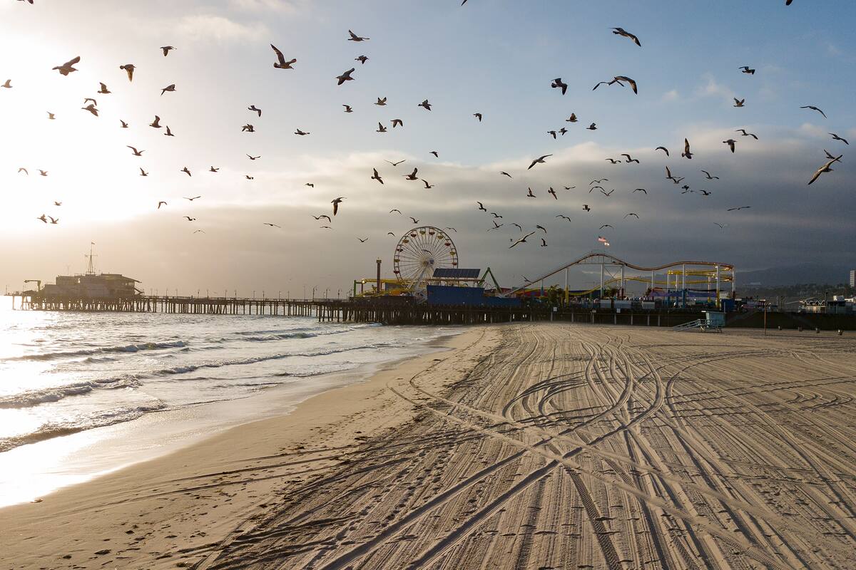 Las aves vuelan sobre una playa vacía de Santa Mónica, ya que los parques y las playas están fuera de los límites para ayudar a detener la propagación del nuevo coronavirus, el 16 de abril de 2020