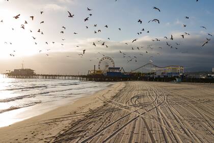 Las aves vuelan sobre una playa vacía de Santa Mónica, ya que los parques y las playas están fuera de los límites para ayudar a detener la propagación del nuevo coronavirus, el 16 de abril de 2020