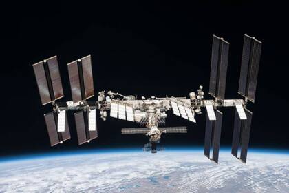 Las bacterias Deinococcus radiodurans estuvieron deshidratadas un año en un plataforma ubicada en el exterior de la Estación Espacial Internacional y pudieron sobrevivir