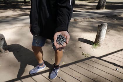 Las balas de goma en Gimnasia y Esgrima de La Plata, tras los incidentes