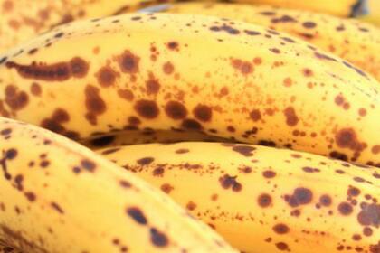 Las bananas nunca se guardan en la heladera