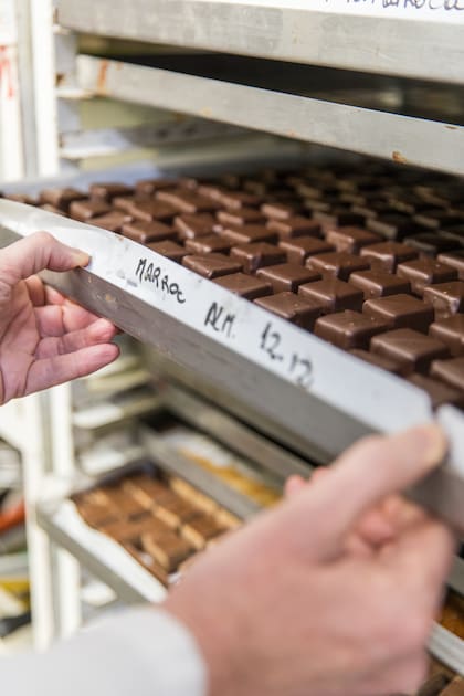 Las bandejas para clasificar las distintas variedades de chocolate recién elaborado. El Marroc es uno de los más clásicos y demandados.