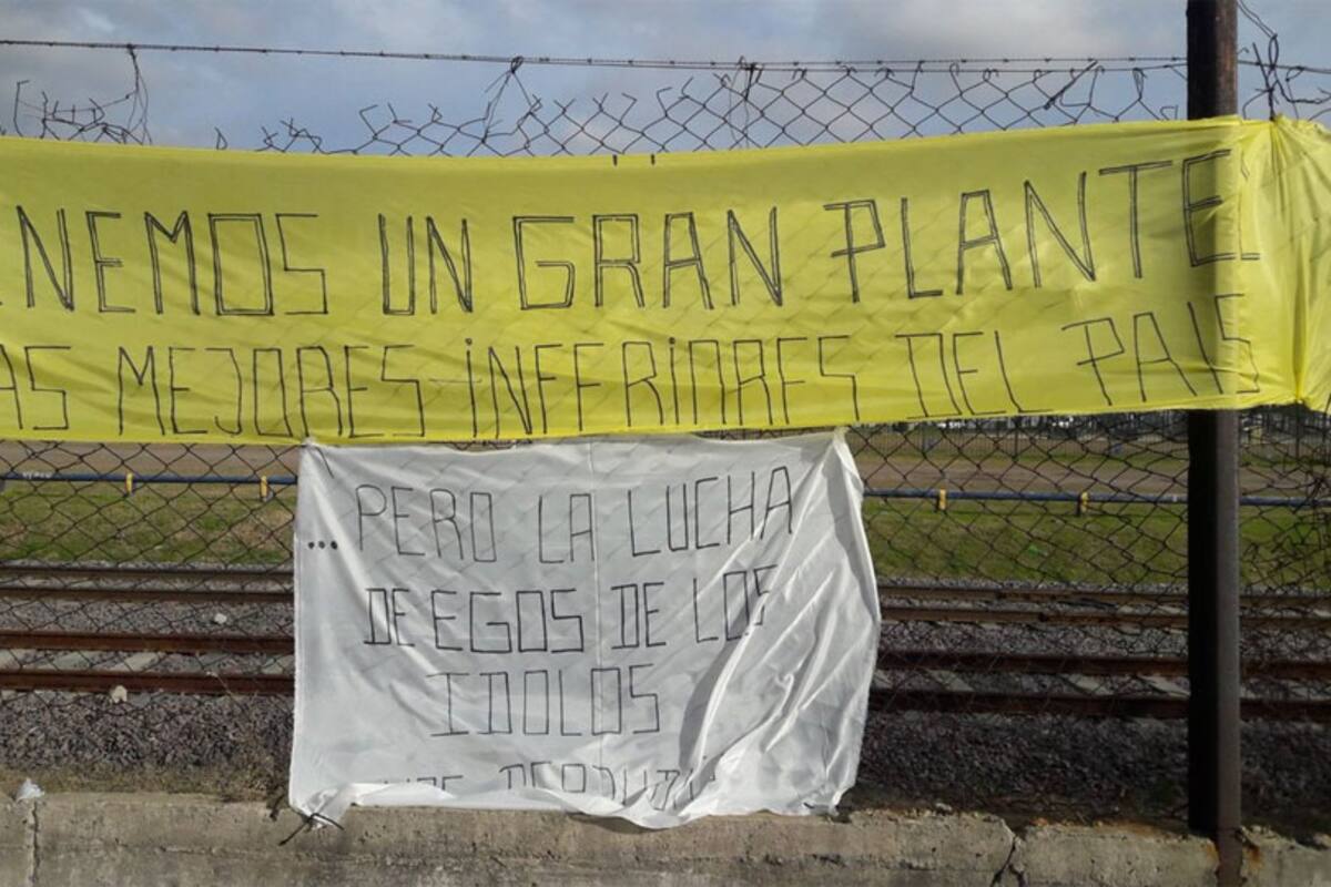 Las banderas del "Colo"