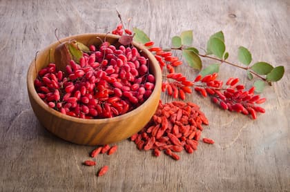 Las bayas de goji son fuente de micronutrientes: componentes de carácter antioxidante y antiinflamatorio