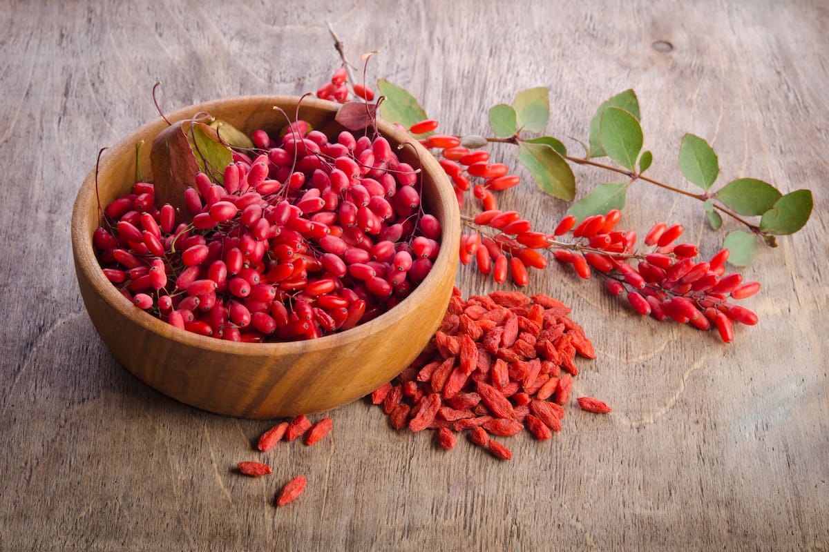 Las bayas de goji son un superalimento que sirve para combatir la vejez