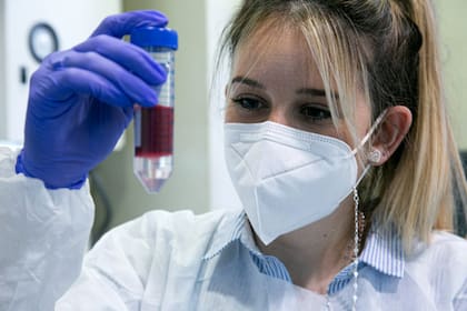 .Las becarias doctorales Florencia Veigas y Montana Manselle Cocco (en la foto) pusieron a punto el método de medición de la respuesta de linfocitos T