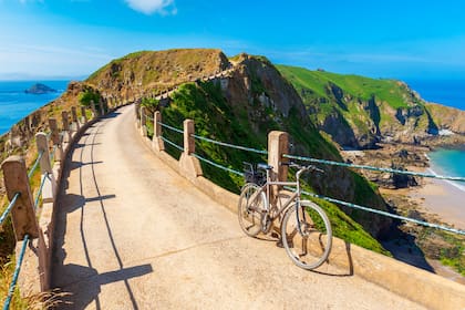 Las bicicletas eléctricas fueron autorizadas en 2019