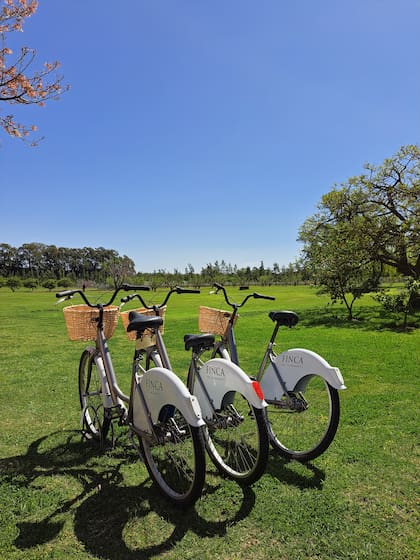 Las bicis, a disposición de los visitantes para recorrer el predio.