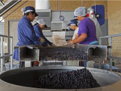 Las bodegas apuestan también por el enoturismo
