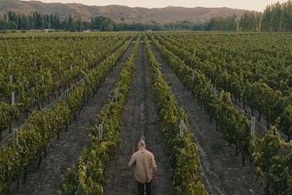 Las bodegas necesitan que se mejore la agilidad de los reintegros