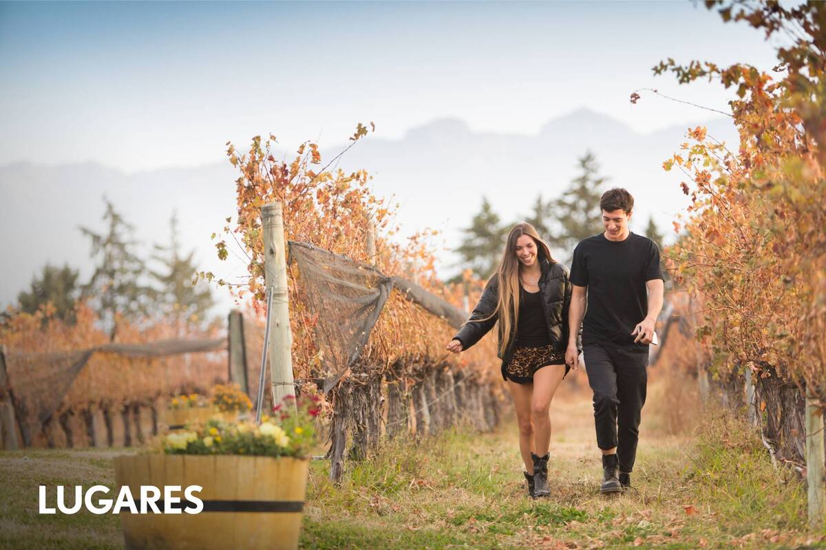 Las bodegas son tendencia para una escapada entre turistas que no toman vino