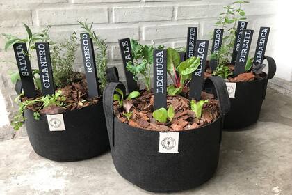 Las bolsas de cultivo con aromáticas y sus identificadores son uno de los grandes éxitos de Huertas & Co