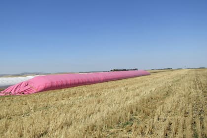 Las bolsas rosas tienen las mismas características que las blancas según estudios de calidad y protocolo
