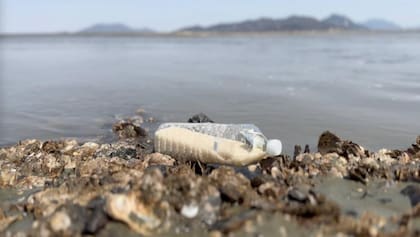 Las botellas contienen arroz, una USB y, a veces, un billete de un dólar