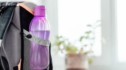 Las botellas pueden contener bacterias de diversas fuentes, como las mochilas en las que se transportan, por ejemplo