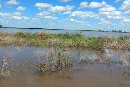 Las Breñas y otras localidades tienen miles de hectáreas bajo el agua