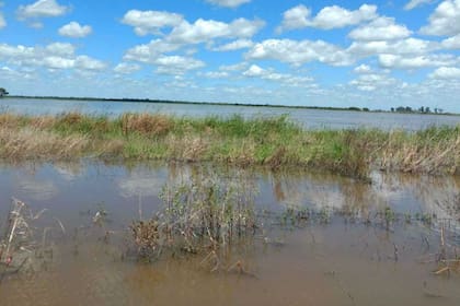 El fenómeno afectó a más de 1,5 millones de hectáreas